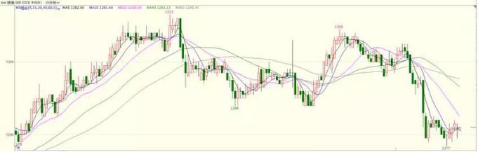 12.24：震惊！兔子居然又活了下来！｜期货历险