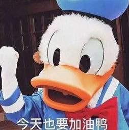 12.24：震惊！兔子居然又活了下来！｜期货历险