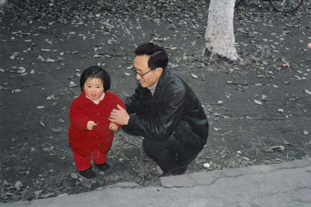 我家的历史,我家的故事摘录