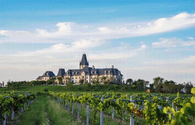 千年文礼安邦百年希世启航I文安鲁能希尔顿酒店盛大开业