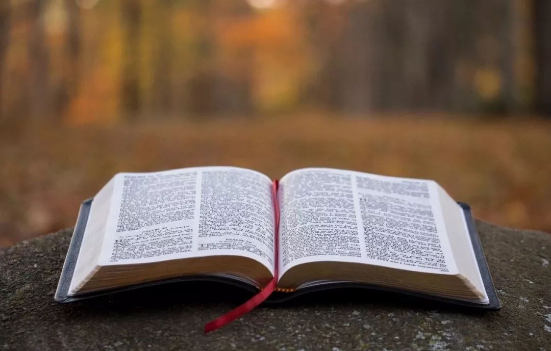 强迫思维如何走出思维陷阱,超级干货的思维