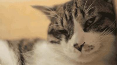 眼睛一招去除红血丝眼药水,消除眼红血丝眼药水