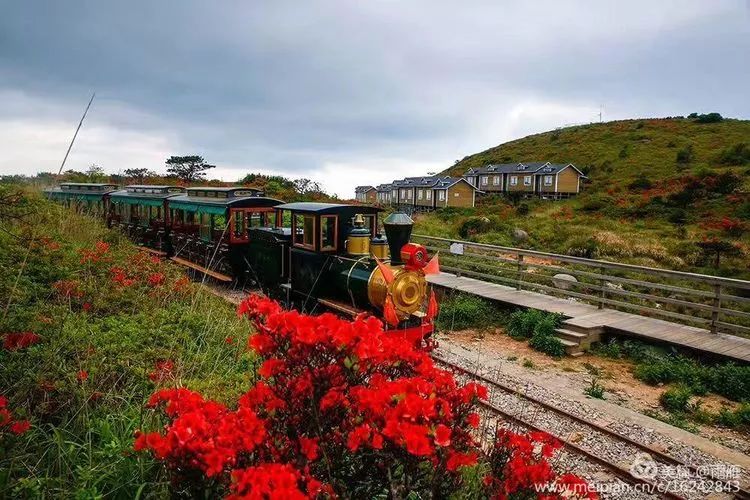 集装箱式民宿推荐,福建特色树屋民宿度假屋结构