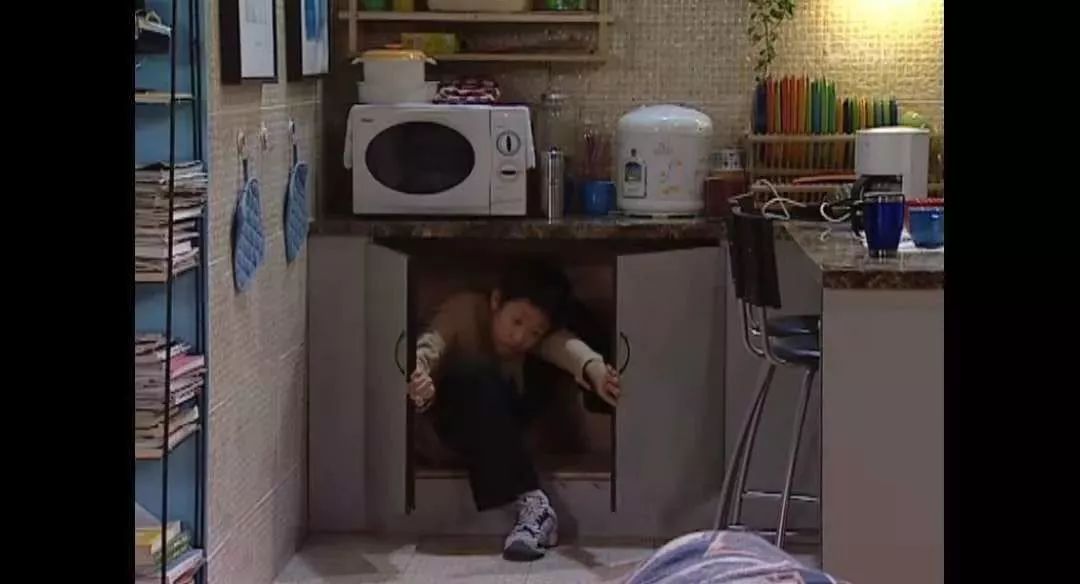 家有儿女细思极恐的对话,家有儿女细思极恐的一生