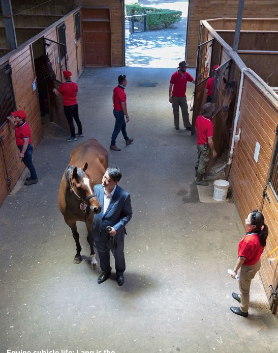 我国最大马场,中国最大的马场在什么地方
