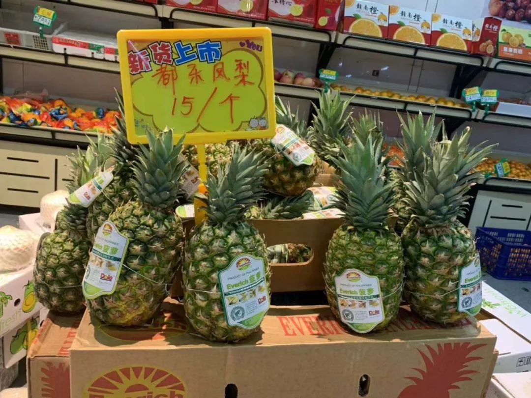 松江大型服装特卖,上海松江服装特卖