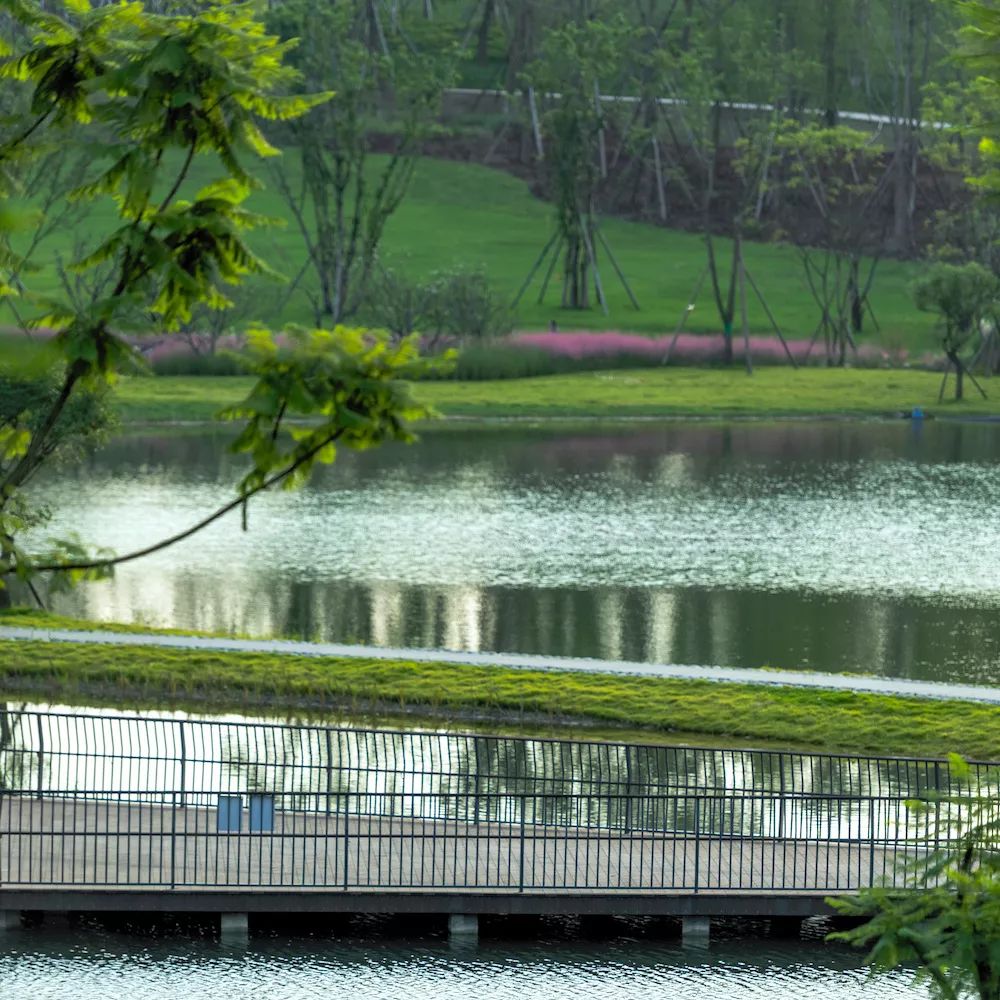 成都有锦城湖公园吗,成都锦城公园简介