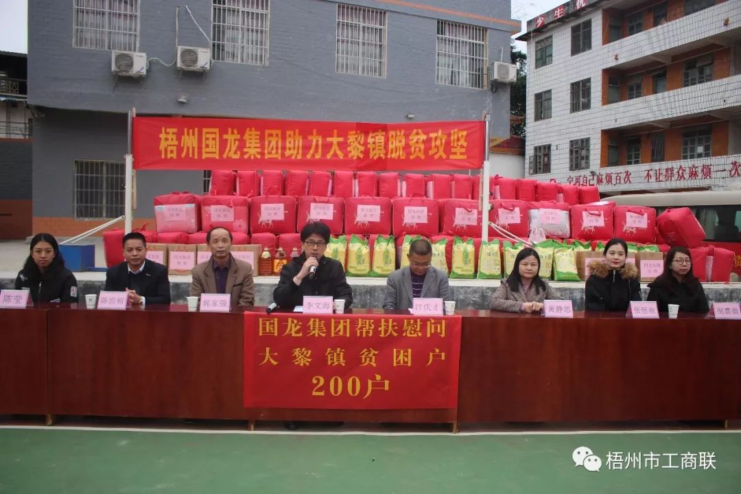 梧州市国龙集团,梧州国龙投资集团