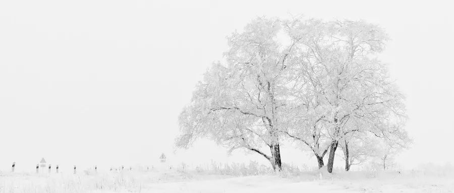 “我去死一死，大家别担心”|一起赶跑抑郁