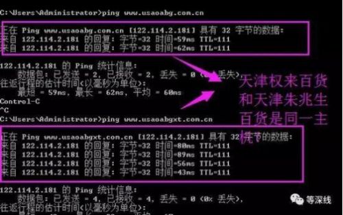 束昱辉哪一年创办的权健,束昱辉权健俱乐部