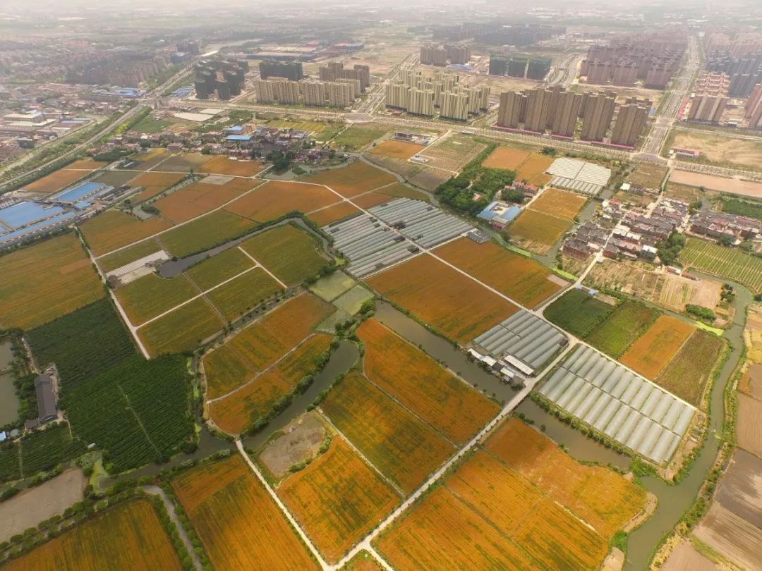 重温古韵历史文化名镇,描绘新家园