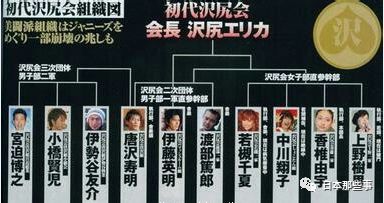 泽尻会长泽会小泉会，这些霓虹女星帮派你想加入哪个？