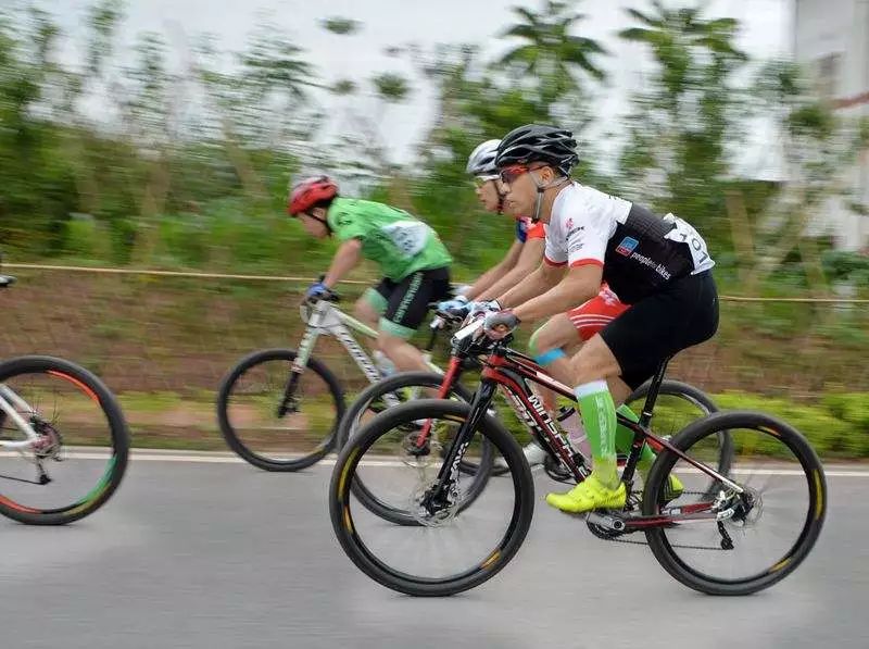 北碚静观蜡梅艺术节,北碚蜡梅节