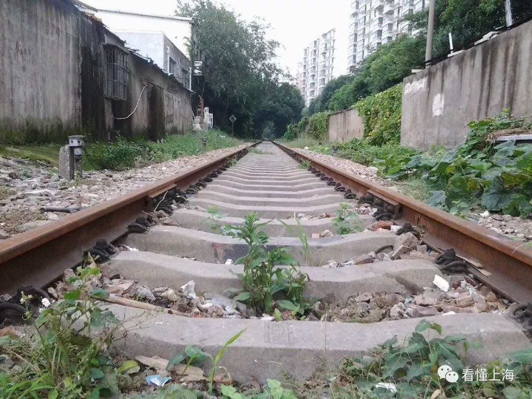 马路道口菱形标志,马路道口鬼探头