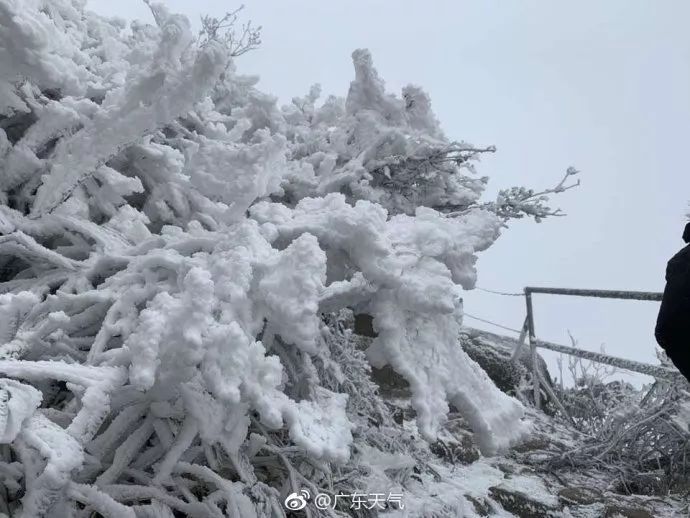 广东下雪之旅,广东下雪是什么体验