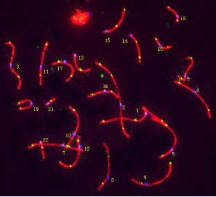安徽省自然科学基金面上项目,国家自然科学基金安徽省2024年