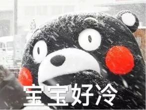 广东下雪之旅,广东下雪是什么体验