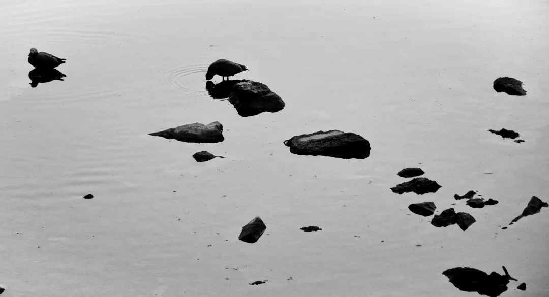 最美的风景在路上在心里,最美的风景在心里也在路上