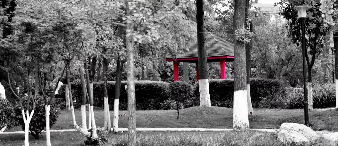 最美的风景在路上在心里,最美的风景在心里也在路上