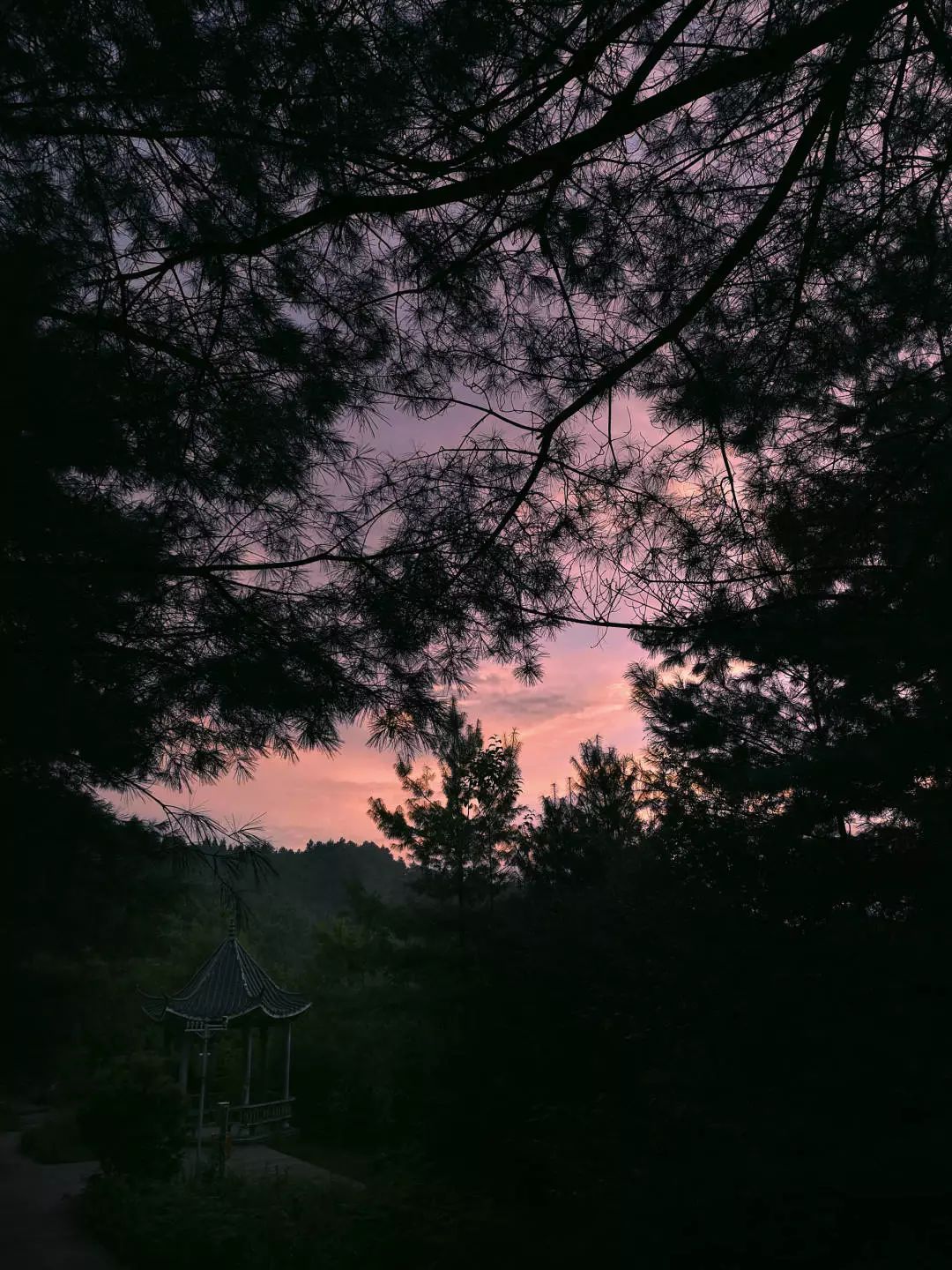 最美的风景在路上在心里,最美的风景在心里也在路上