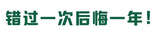 2019年春节去哪吃喝玩乐？这份攻略为你详细安排！