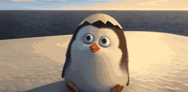 哪些颜色的裤子适合,什么材质的生理期内裤比较健康