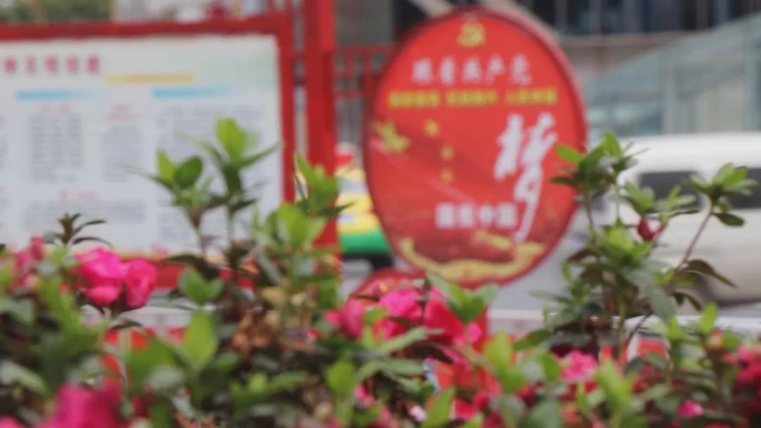 大理改革开放,激荡四十年感悟人生