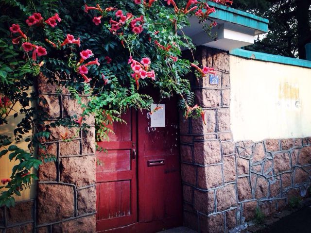 青岛多伦多街区,青岛攻略图