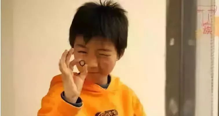 撒贝宁一生的遗憾,撒贝宁季羡林