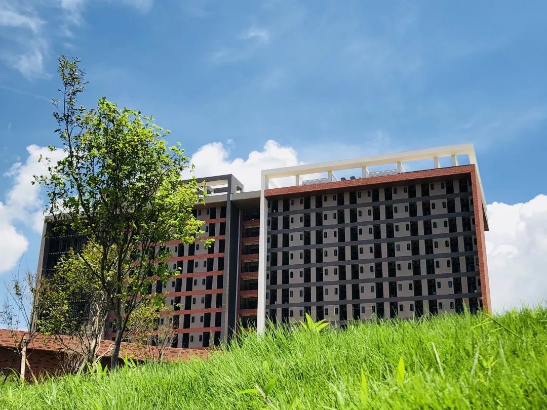 茂名一本四专,从一本到二本的大学