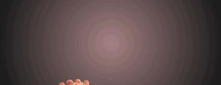 股市有风险谨慎被套牢,股票交易受风险警示