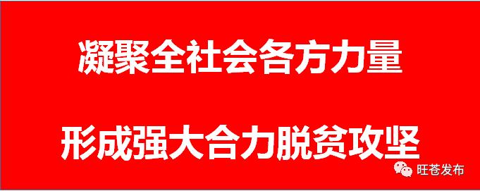 四川省校园足球最佳阵容名单公示,四川小学足球学校排名榜