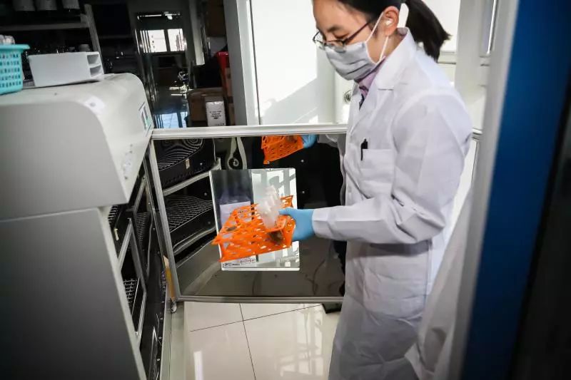 去除腐烂部分的果蔬还能吃吗？