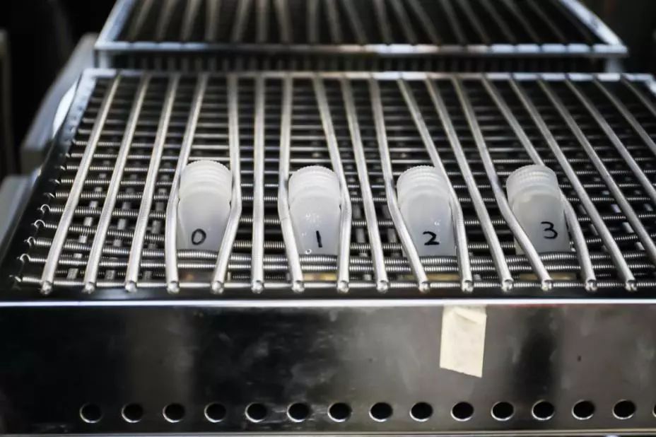 去除腐烂部分的果蔬还能吃吗？