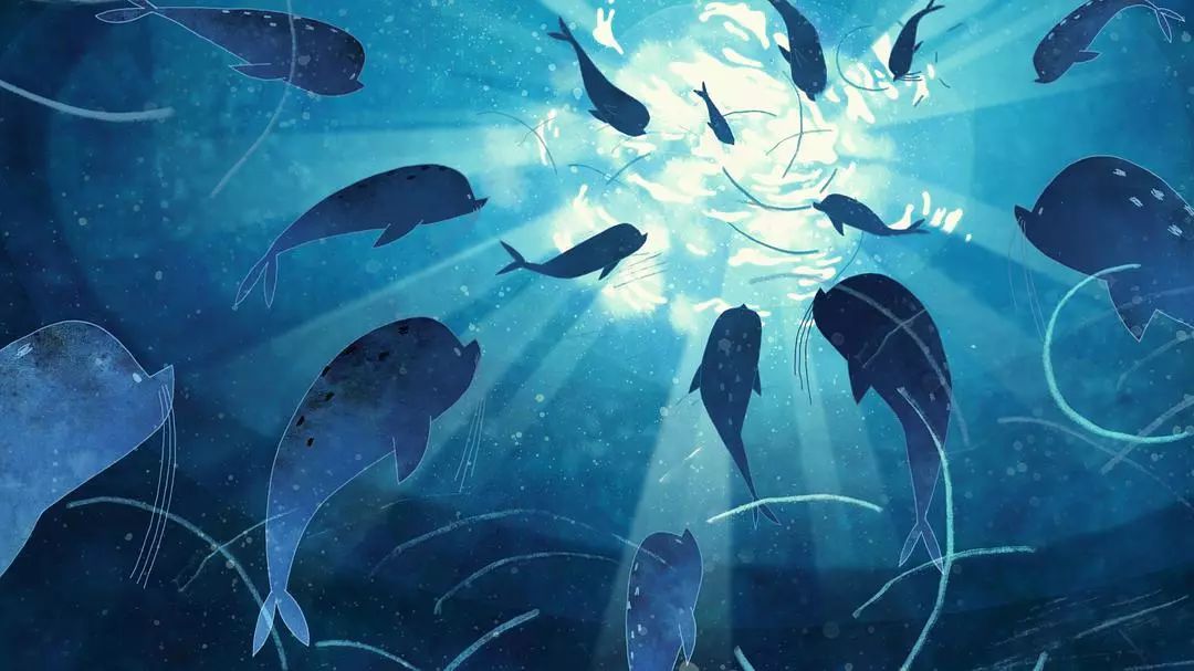 近期网上能看的十部好片,好看的好片推荐一下