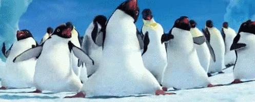 瓦萨滑雪节开赛时间,瓦萨国际滑雪节盛大启幕