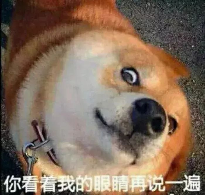 2019年初雪已发货，青岛人请查收！还有第二场、第三场……市疾控：这些病正高发