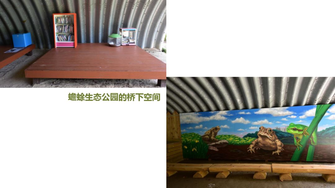 园林大讲堂｜清溪川：韩国人最引以为傲的生态改造项目