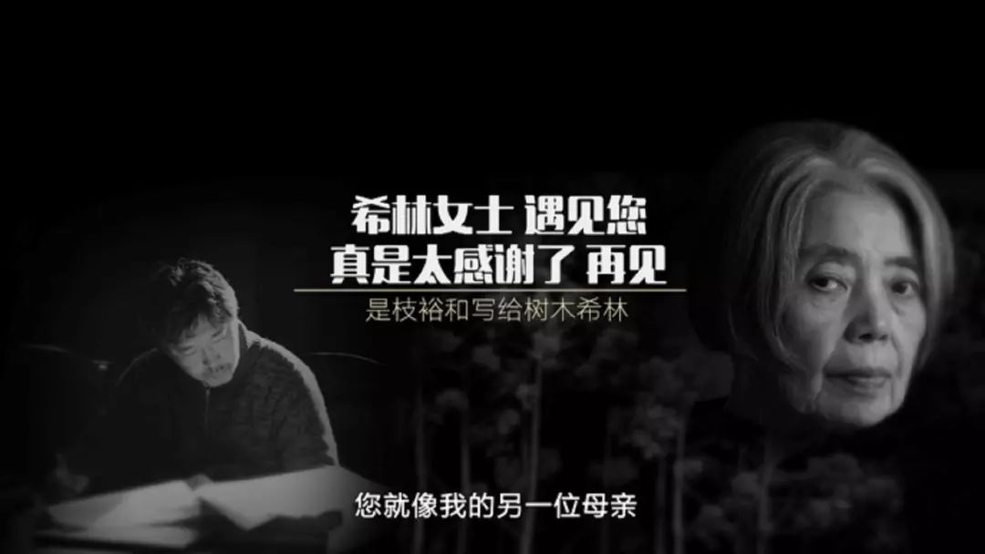 见字｜希林女士，遇见您真是太感谢了再见