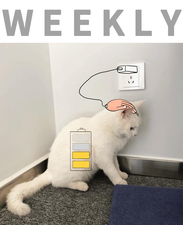 人类的第六感,人类的第六感是什么