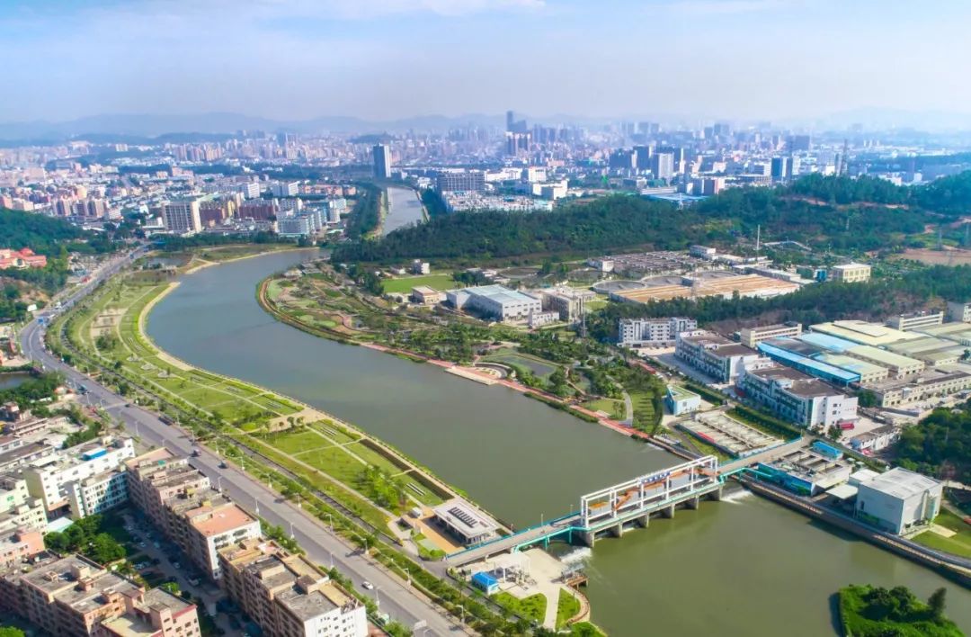 新安、福海、沙井、新桥、燕罗2019年关键词出炉，速度来get！