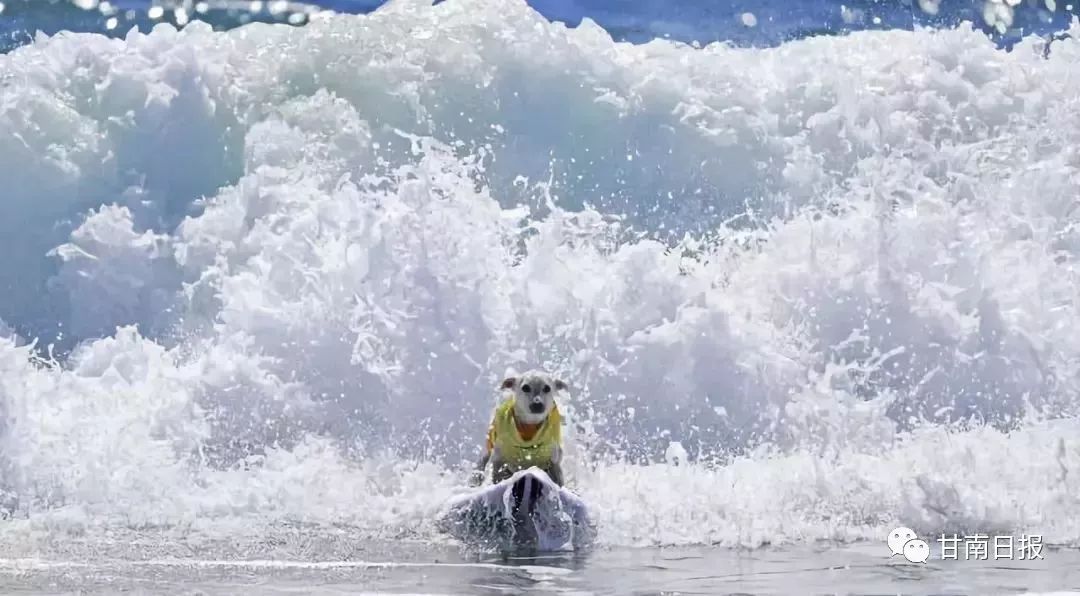 2020年度新华社照片,新华社2018年度图片精选