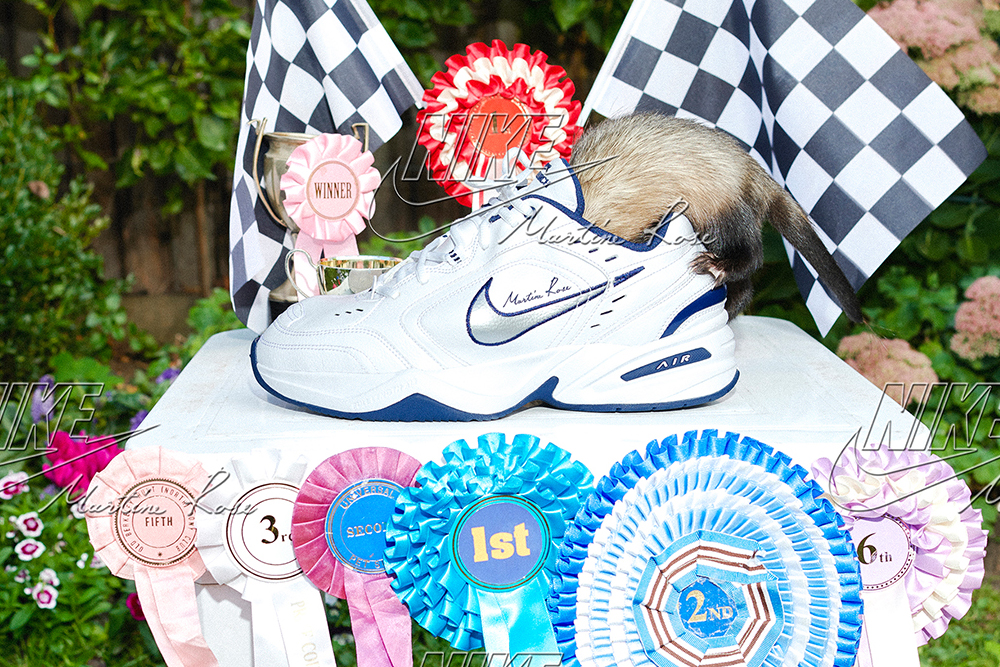 theten全部鞋款,theten系列篮球鞋