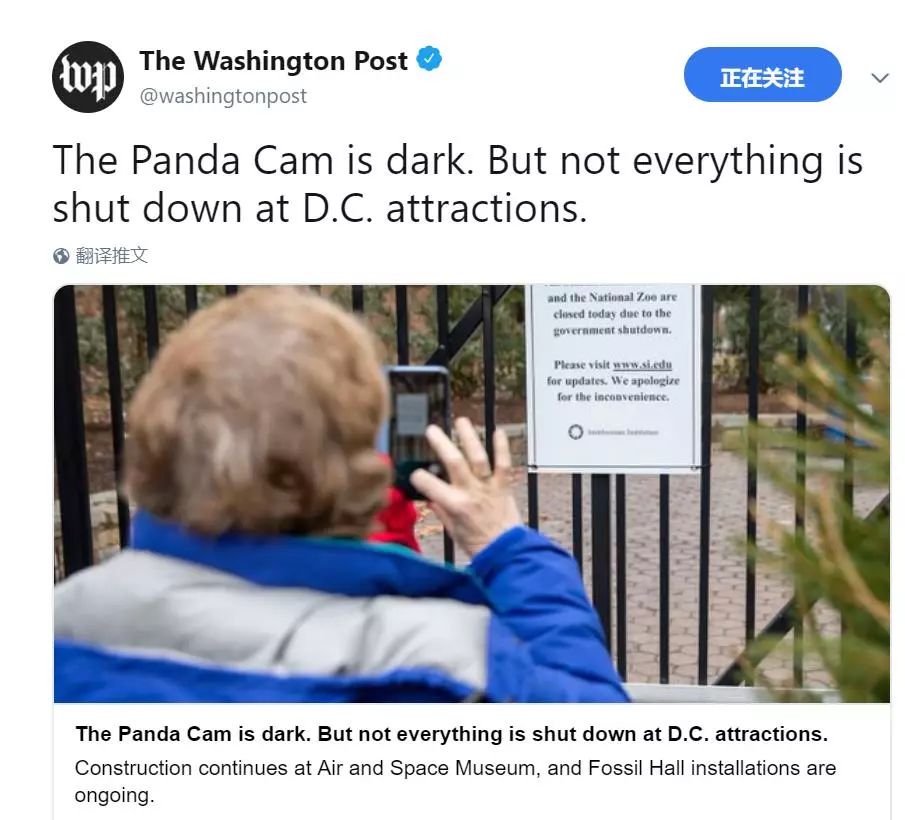 美国政府关门，“直播熊猫”画面被掐！美国网友炸锅：你们把我惹毛了