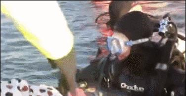 机智！中大老师坟头开课了！古墓附近还有惊人发现｜南都早餐