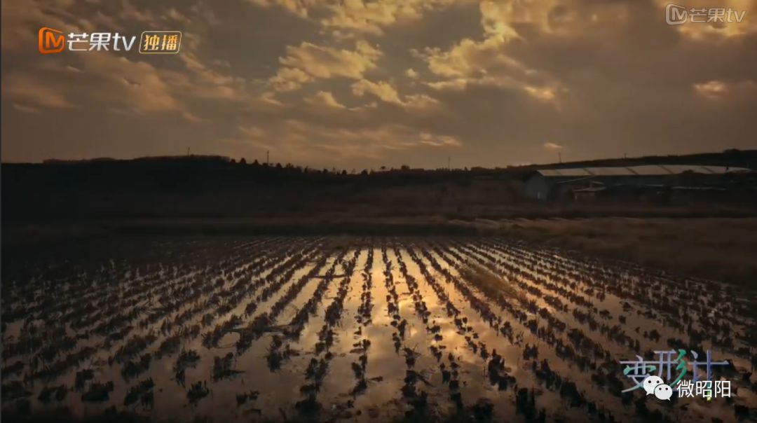 变形计苏宋足球,变形计托孤足球男孩后续