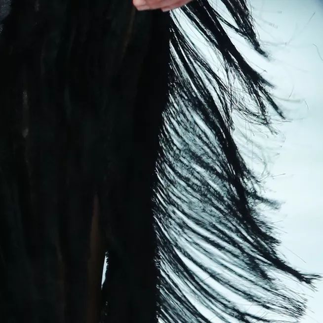 明星都爱Ta的眼镜，但其实Ta是个时装品牌