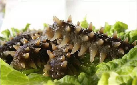 官方推荐年货！山东17市代表性农副特产都是啥？