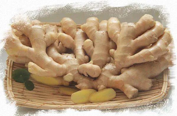 官方推荐年货！山东17市代表性农副特产都是啥？