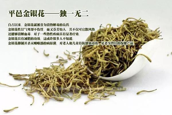 官方推荐年货！山东17市代表性农副特产都是啥？
